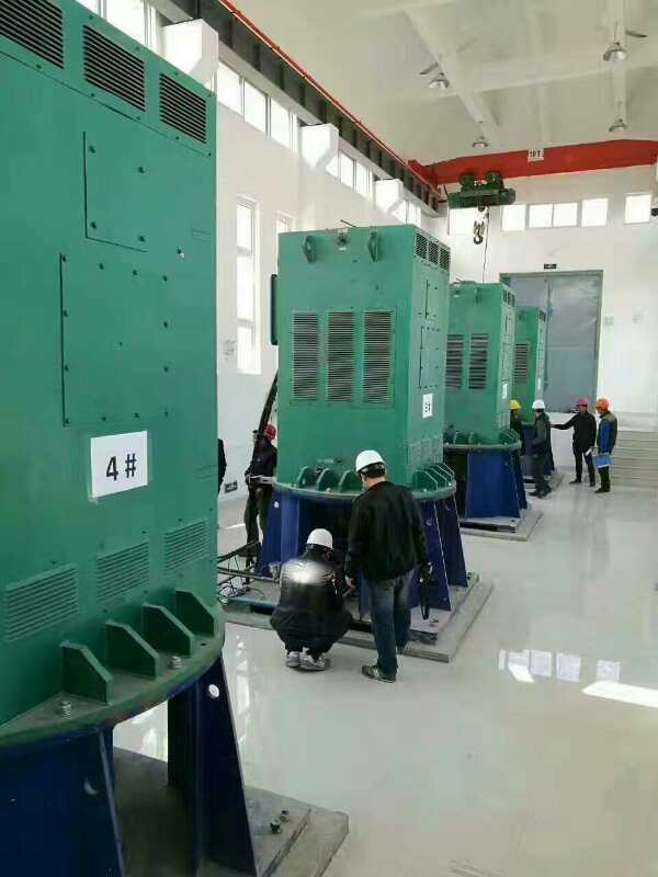 YKS5604-8某污水处理厂使用我厂的立式高压电机安装现场