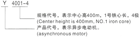 西安泰富西玛Y系列(H355-1000)高压YKS5604-8三相异步电机型号说明