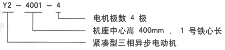 YR系列(H355-1000)高压YKS5604-8三相异步电机西安西玛电机型号说明